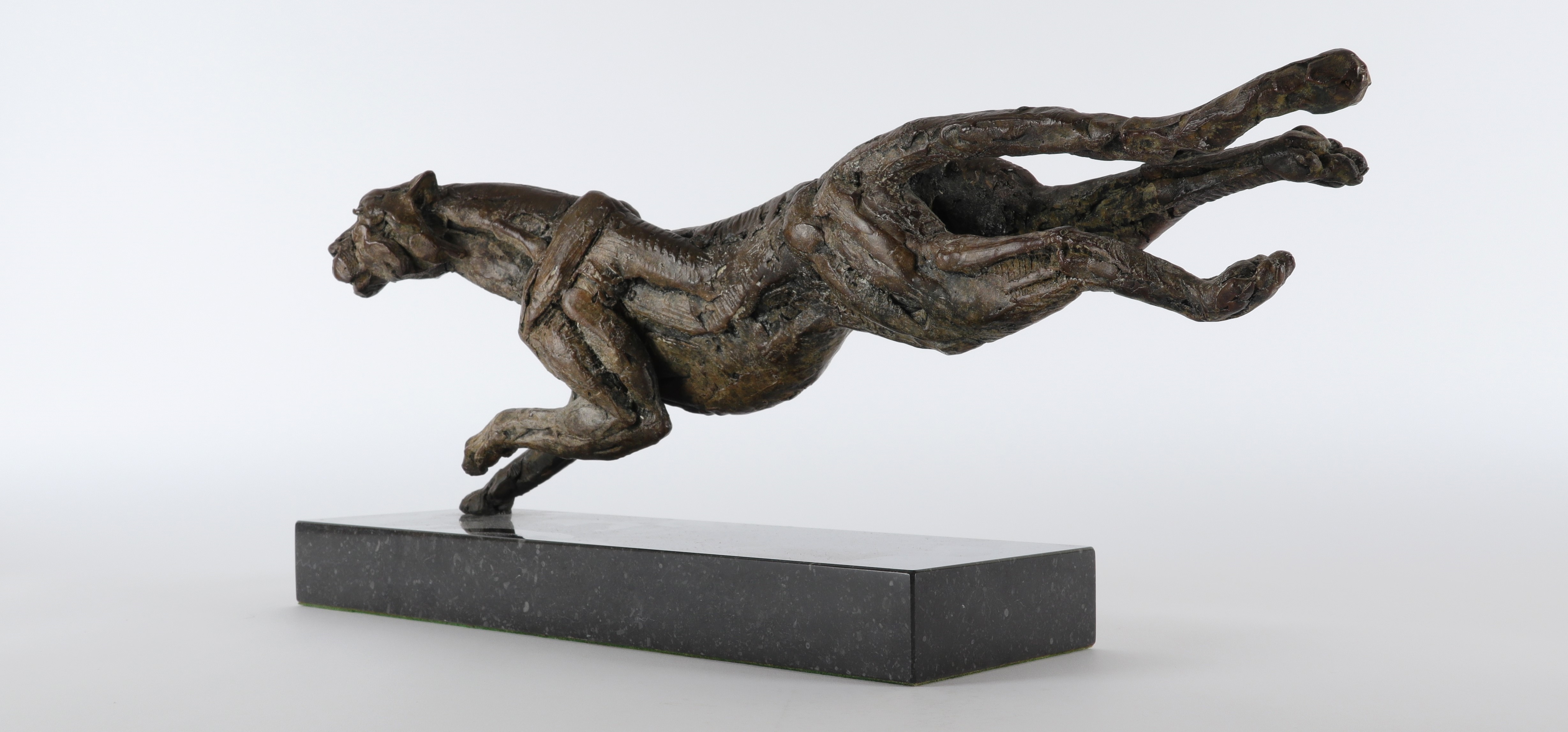 Hamish Mackie, Cheetah outstretched (2005)