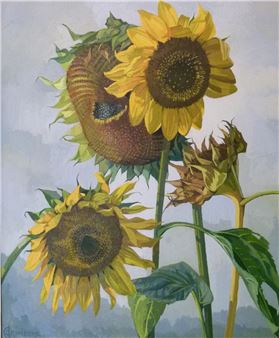 Sunflowers - Cecile Crombeke