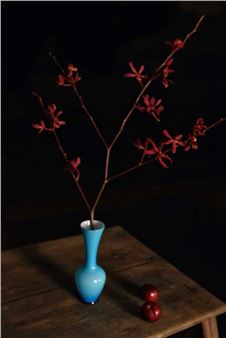 Chelle Wallace: Portals of the Inanimate - Tweed Regional Gallery & Margaret Olley Art Centre