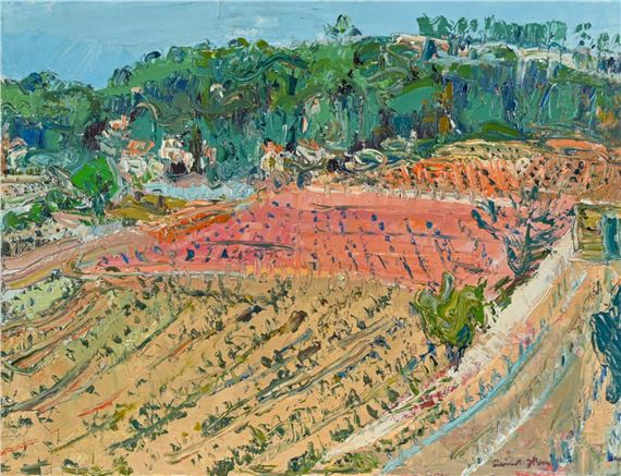 Les vignes de Bandol