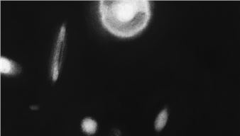 Caroline Corbasson: Pollen - Galerie Laurence Bernard