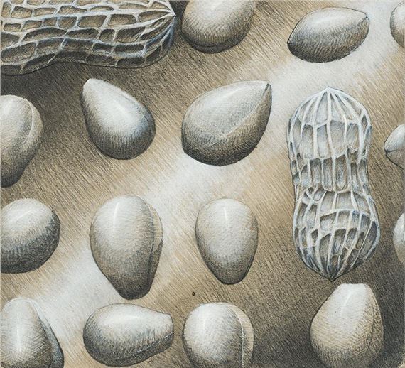 da by Santolo De Luca