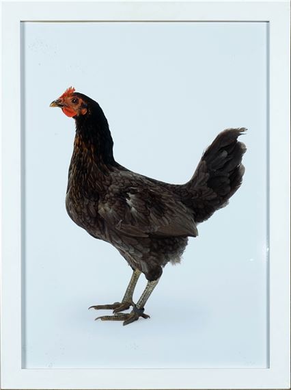 Machelse Louisiana by Koen Vanmechelen, 2004