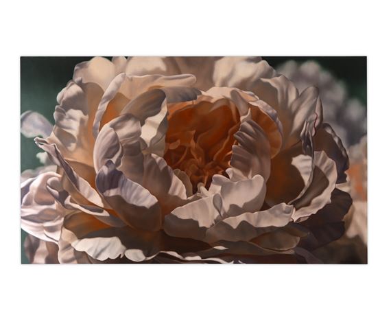 Untitled (Floral Study) by Winifred Godfrey