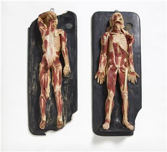 A PAIR OF MALE ANATOMIC MODELS, SKINNED AND LARGER MUSCLES REMOVED. - Jules Talrich