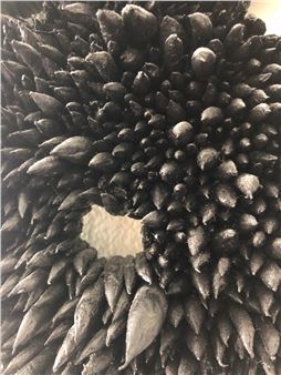 Artists Quarantine with Their Art Collections