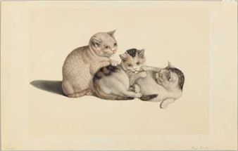 Three young cats. - Gottfried Mind
