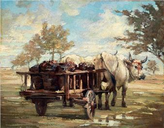 Buoi con carro - Guido Somelli