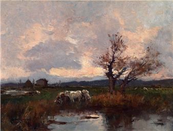 Campagna con bovi - Alberto Cecconi