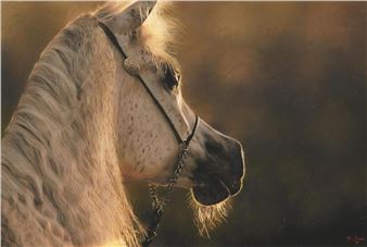Horse - Darren Baker