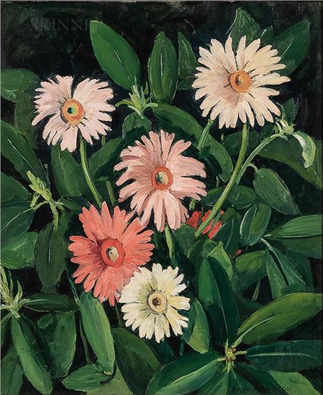 Jane Peterson | African Daisies | MutualArt