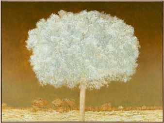 Flowering (study) - Gregory Pryor