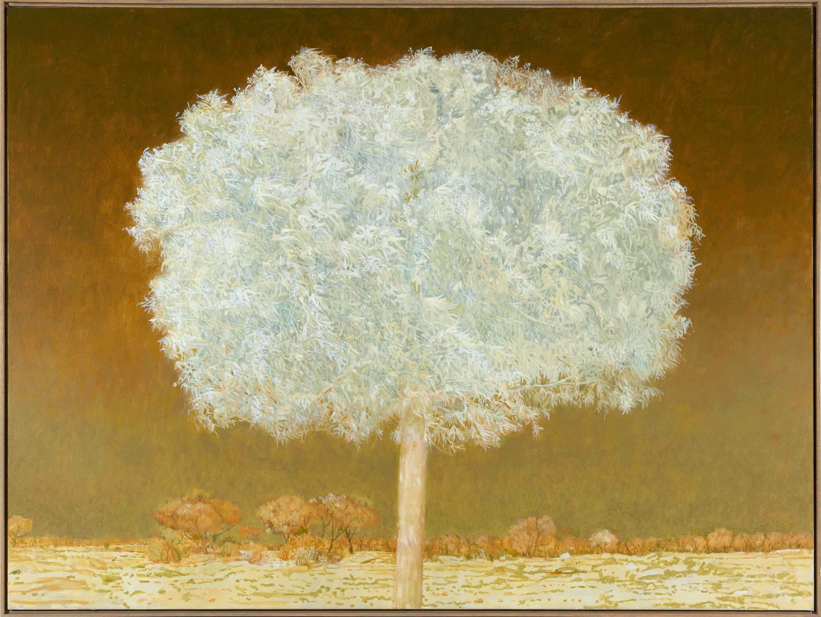 Artwork by Gregory Pryor, Flowering (study), Made of oil on linen