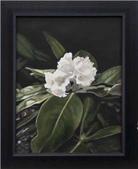 ARIZELUM I - Ellisa Haldenny