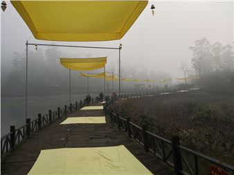 What to Make of Po Po?