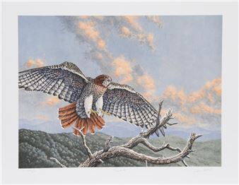 Green Mt. Overlook - Chris Forrest