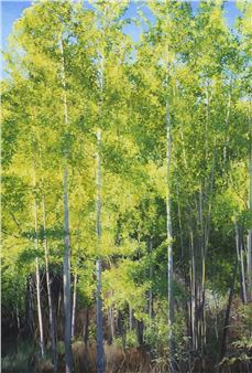 SUMMER BIRCHES - Robert Furlong