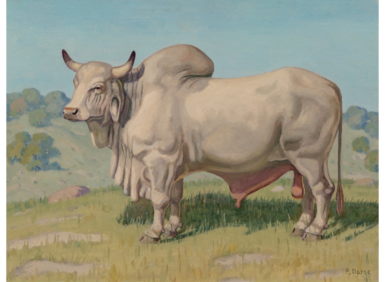 Brahman Calf Cow Painting