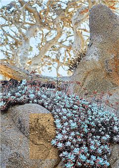 Reinhard Ziegler: On Earth, An in Heaven - Conduit Gallery