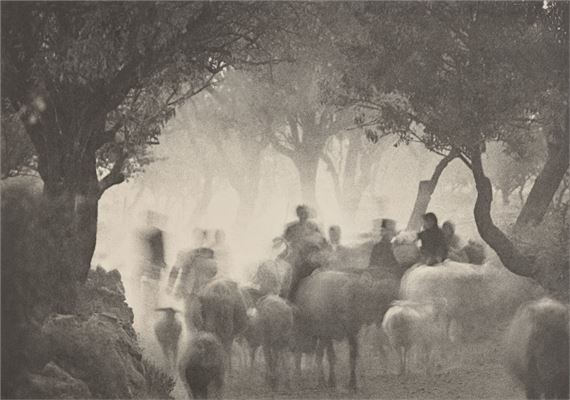 Cretan Landscape by Irving Penn, 1965
