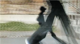 A Restless Rendition - DREI