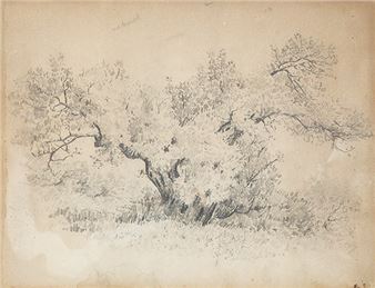 Paisaje - Ramón Stolz Seguí