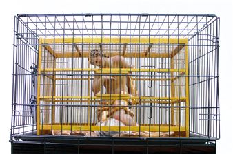 “LǳǷɲ&ܴǳ; - Udo Breitenbach