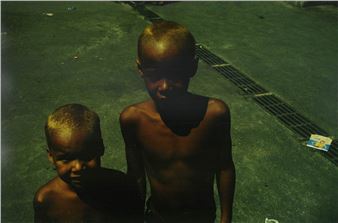 Lourinhos - Daniel Klajmic