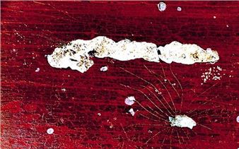 Archicolor. Off-Site - Les Abattoirs