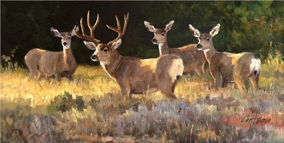 Ken Carlson | Mule Deer in Early Light | MutualArt