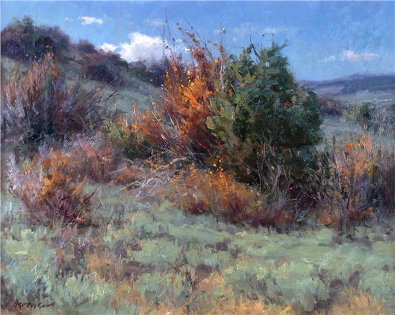 Wyoming Hillside by Clyde Aspevig