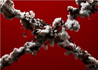 ONLINE: LACP's First Annual "Say What You Want to Say" Exhibition - LACP, Los Angeles Center of Photography