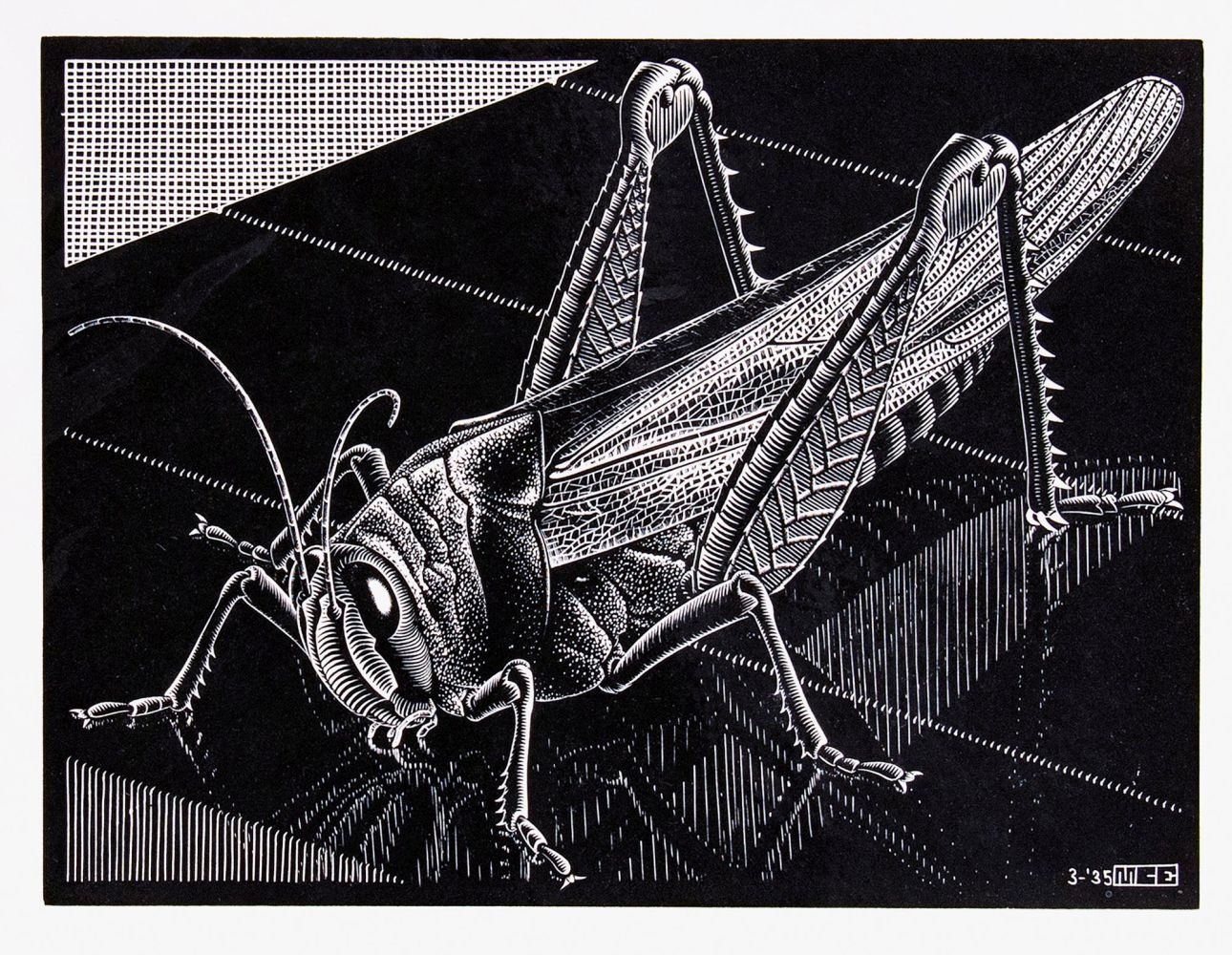 Six works: Scarabees; Grasshopper; Spinrag; title woodcut of De Graphicus M. C. Escher; Fishes and Frogs; Het bezwaarde hart by Maurits Cornelis Escher