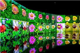 QUAD in Derby Has New Exhibitions Exploring Artificial Intelligence