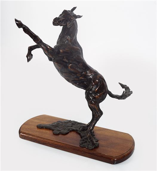 Rearing Horse by Siobhan Bulfin