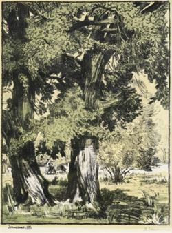 Landscape - Gheorghe Ivanceco