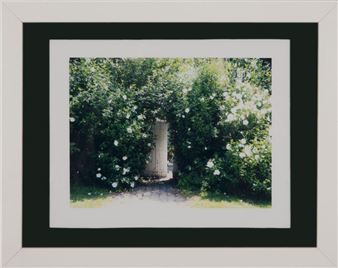 Untitled - Carol Bloomfield