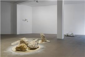 [EN/SK] ‘The Growing Argument’ by Anetta Mona Chișa at Zahorian & Van Espen Bratislava