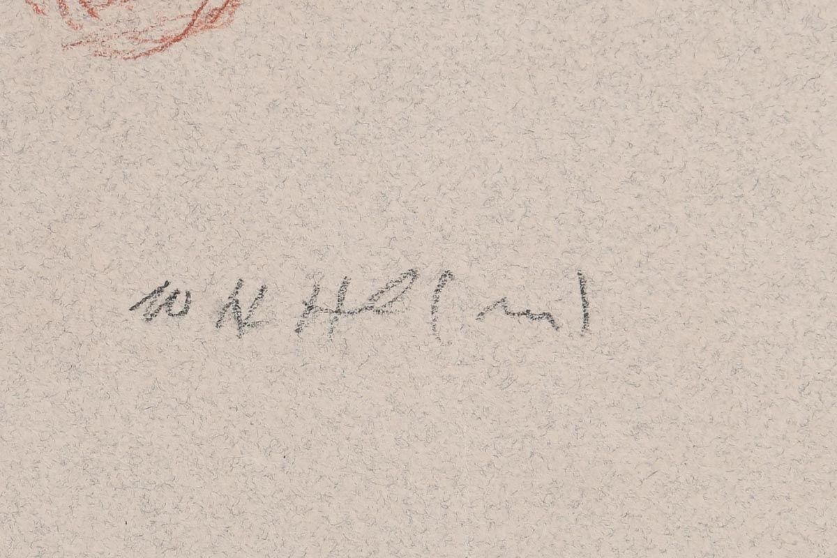 Artwork by Harry Holland, Reclining Female Nude, Made of coloured chalks