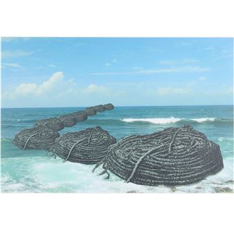 Without title from the series: Mar de los Lamentos, Soga - Sandra Ramos