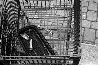 Frugale - Andrea Catoni