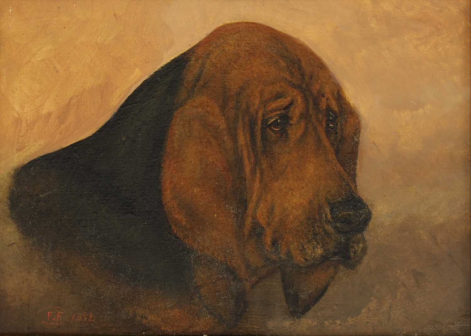 Artwork by Frederick French, Bloodhound, Made of oil on board