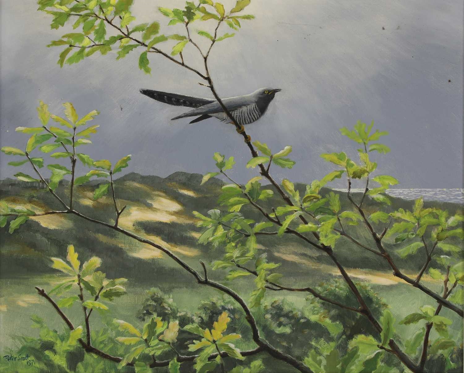 Peter Markham Scott | Wildfowl (1974) | MutualArt