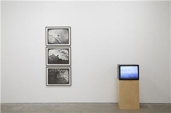 Extrospection - Pi Artworks, London