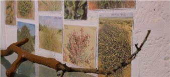 Installation view of Sunoj D exhibition at Jameel Arts Centre.