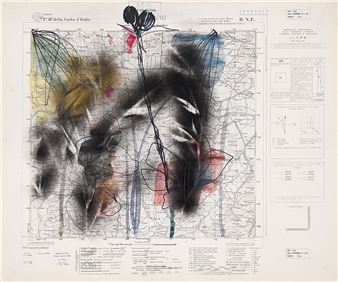Mappe-Fiori-Piante - Elisa Montessori