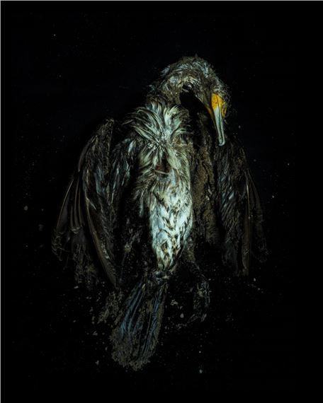 The Camel Never Forgets - Galeria lokal_30