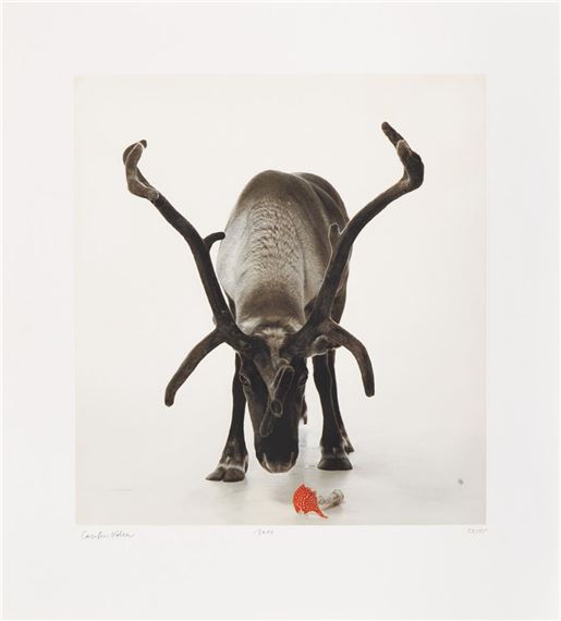 Untitled by Carsten Höller, 2010