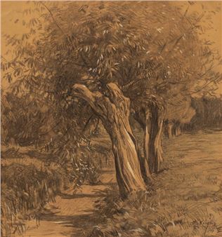 Wilgen - Otto  Gustav Adolf Kriens