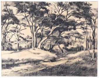 Bosgezicht - L.G. Melis